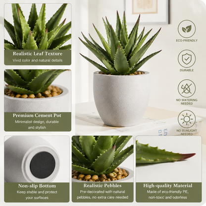 rwwltzju® Mini Desert Aloe Succulent