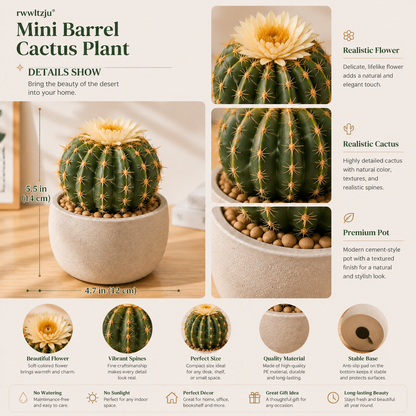 rwwltzju® Mini Barrel Cactus Plant