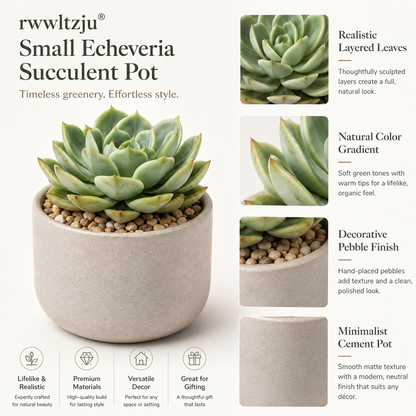 rwwltzju® Small Echeveria Succulent Pot